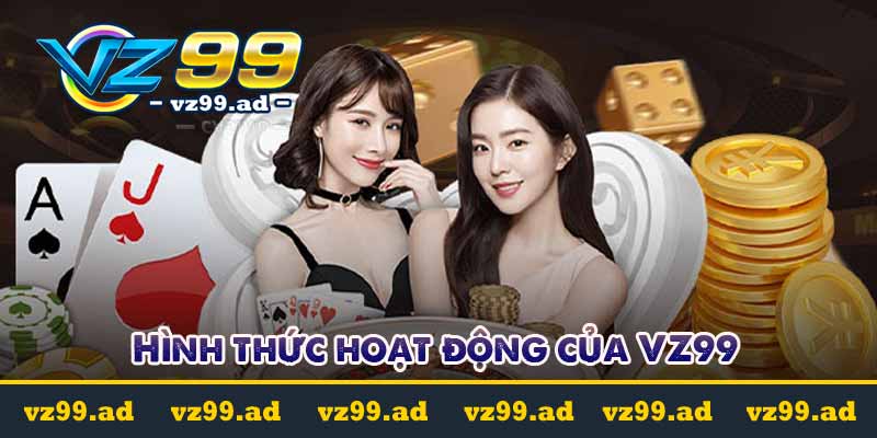 Hình thức hoạt động của VZ99