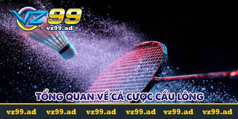 Tổng quan về cá cược cầu lông