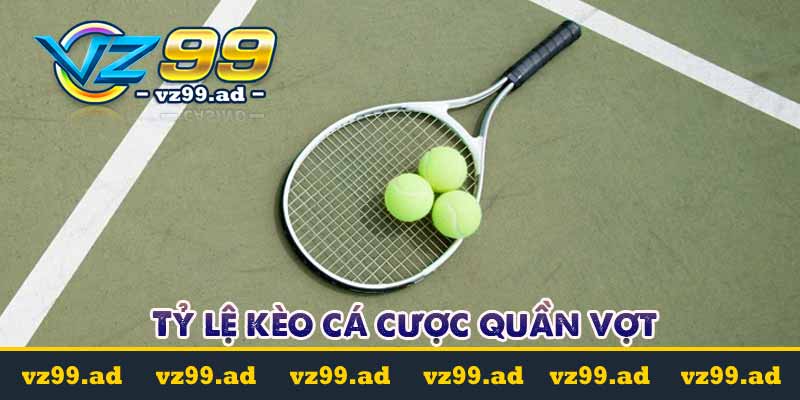 Tỷ lệ kèo cá cược quần vợt