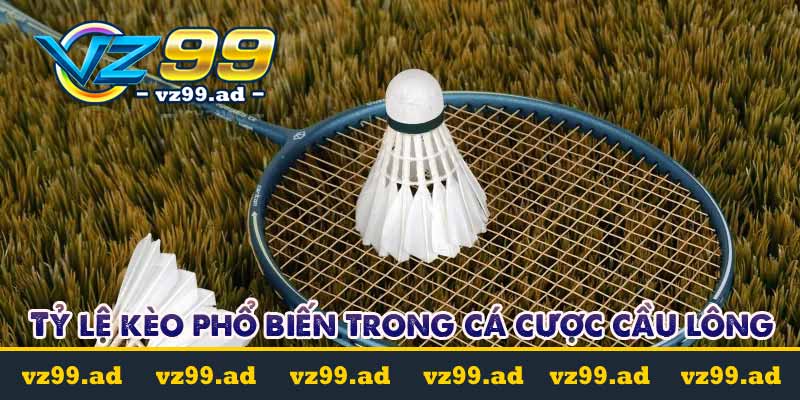 Tỷ lệ kèo phổ biến trong cá cược cầu lông